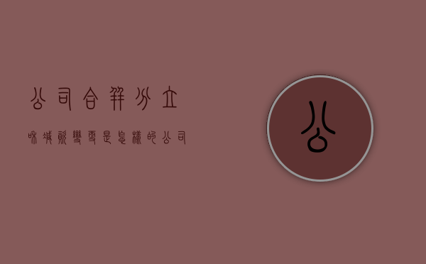 公司合并、分立和减资变更是怎样的（公司合并与分立的区别）