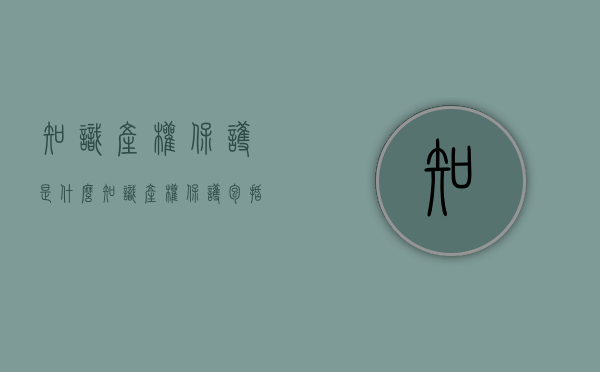 知识产权保护是什么（知识产权保护包括哪些方面）