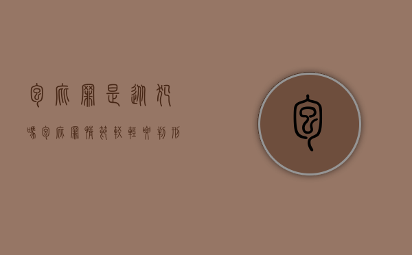 包庇罪是从犯吗（包庇罪情节较轻要判刑吗）