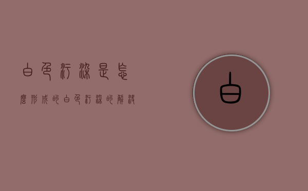 白色污染是怎么形成的?（白色污染的解决方案）