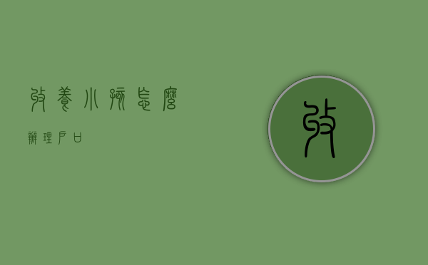 收养小孩怎么办理户口
