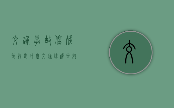交通事故伤残等级是什么（交通伤残等级1-10鉴定标准道客巴巴）