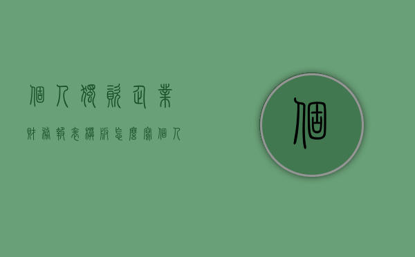 个人独资企业财务报表模板怎么写？（个人独资企业b表在哪填）