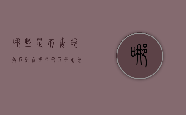 哪些是夫妻的共同财产,哪些又不是夫妻共同财产呢（夫妻哪些不属于共同财产）