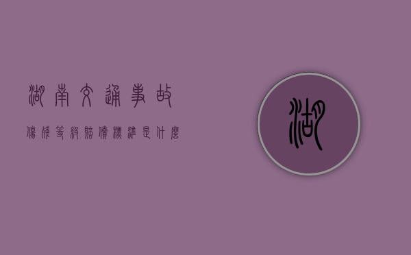 湖南交通事故伤残等级赔偿标准是什么？（湖南省2023年交通赔偿标准一览表图片）
