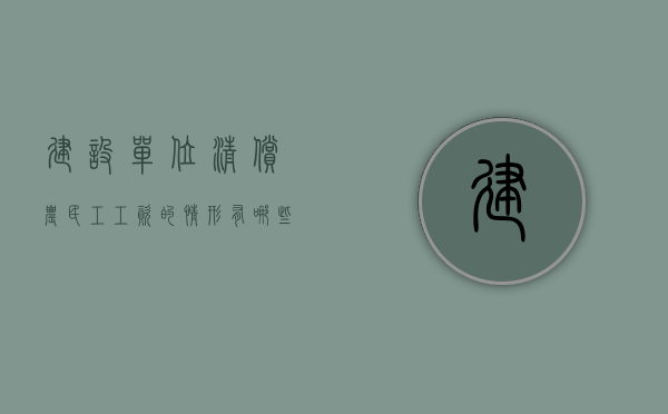 建设单位清偿农民工工资的情形有哪些规定（建设单位有义务解决农民工工资）