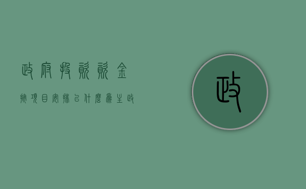 政府投资资金按项目安排以什么为主（政府投资项目的界定）