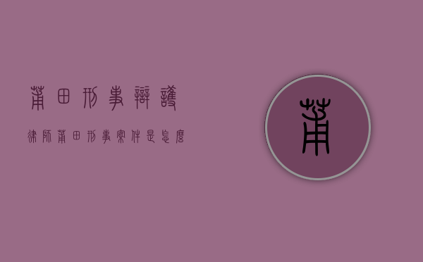 莆田刑事辩护律师（莆田刑事案件是怎么回事）