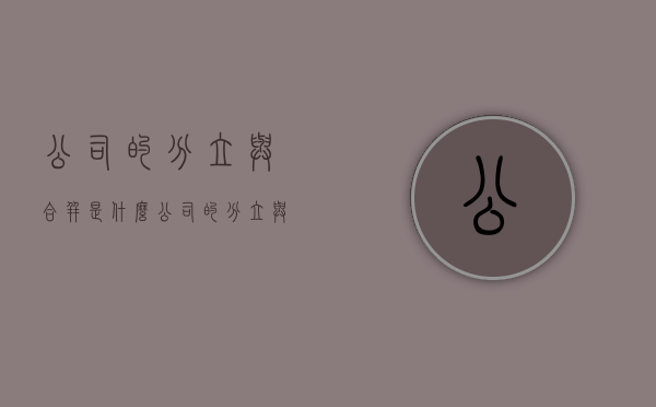 公司的分立与合并是什么（公司的分立与合并是什么关系）