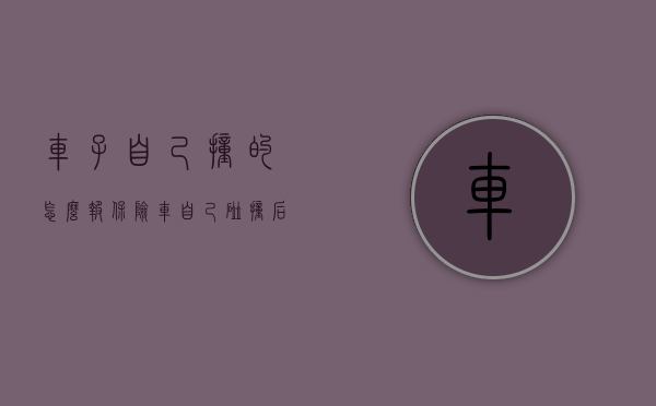 车子自己撞的怎么报保险（车自己碰撞后怎么处理）