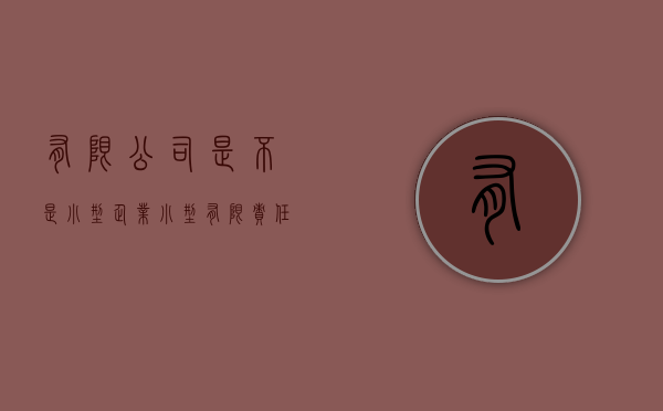 有限公司是不是小型企业（小型有限责任公司章程）