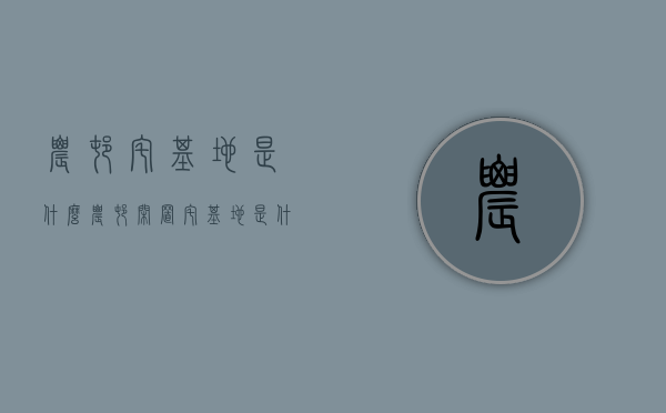 农村宅基地是什么（农村闲置宅基地是什么）
