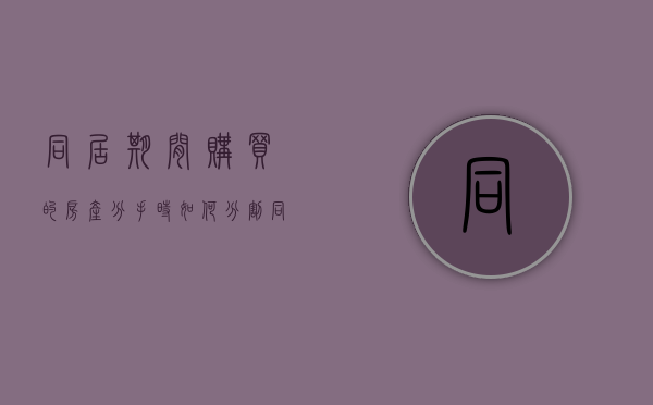 同居期间购买的房产分手时如何分割（同居期间购买的房产,归谁所有）