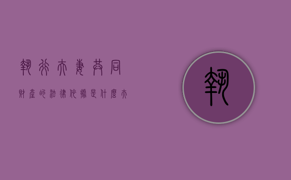 执行夫妻共同财产的法律依据是什么？（夫妻共有财产被执行了,配偶一方怎么维护权利）