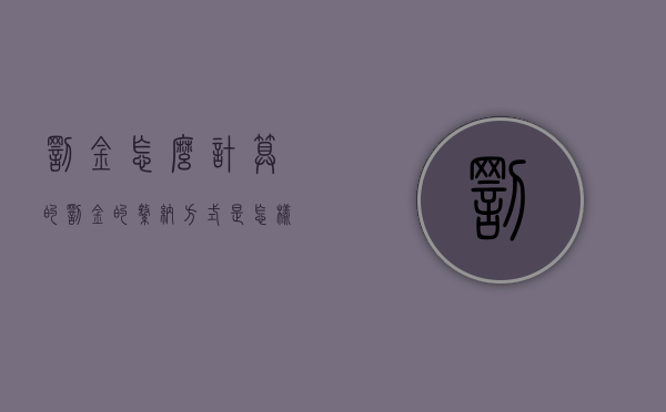 罚金怎么计算的（罚金的缴纳方式是怎样的）