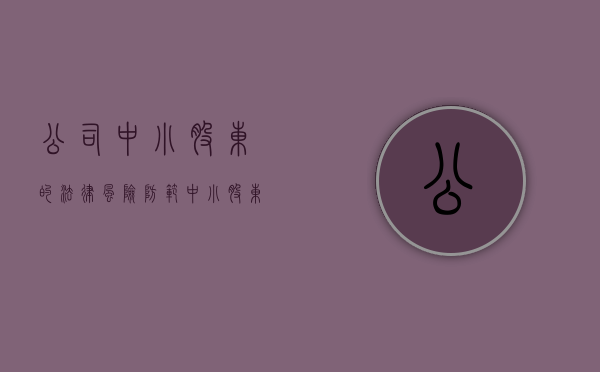 公司中小股东的法律风险防范（中小股东在公司治理的作用）