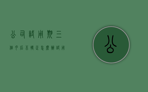 公司试用期三个月后不转正怎么办（试用期三个月满不给转正违法吗）
