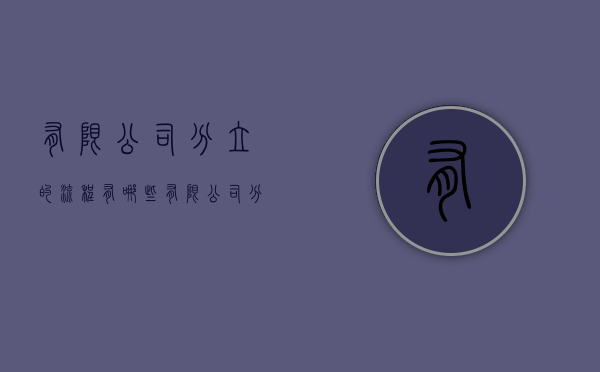 有限公司分立的流程有哪些（有限公司分立的流程有哪些规定）