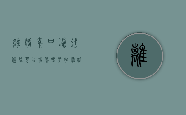 离婚案中伪造债务可以报警吗法律（离婚伪造债务的案例）