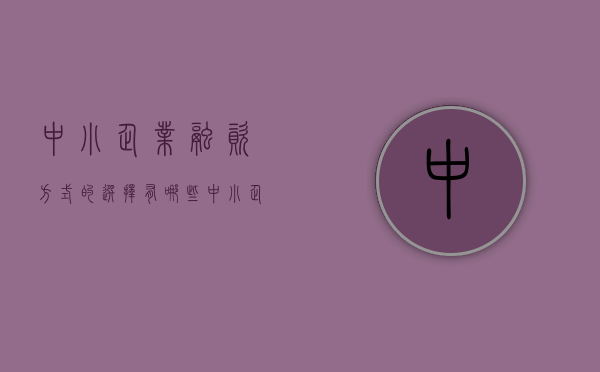 中小企业融资方式的选择有哪些（中小企业融资方式的选择有哪些方法）