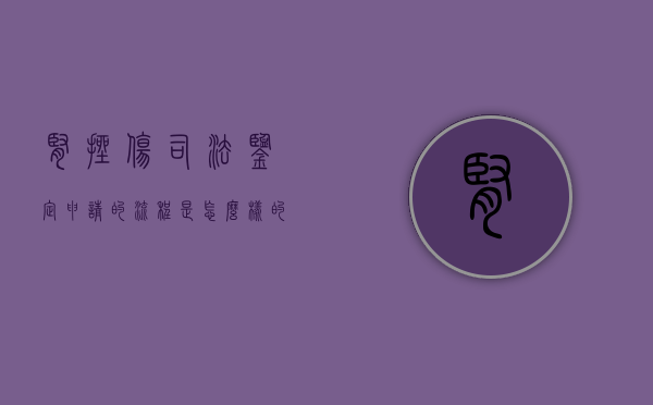 肾挫伤司法鉴定申请的流程是怎么样的？（肾挫伤够伤残等级）