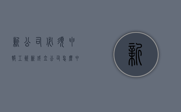 新公司必须申报工资（新成立公司怎么申报个税）