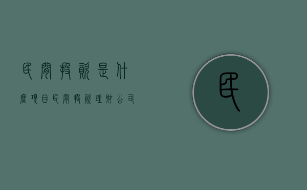 民间投资是什么项目（民间投资理财公司可靠吗安全吗可靠吗）