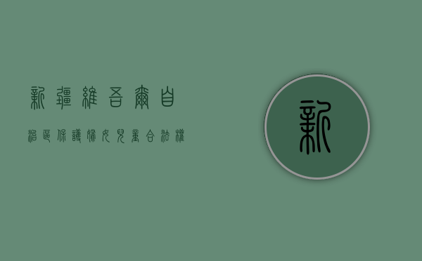 新疆维吾尔自治区保护妇女儿童合法权益的若干规定（自治区妇女儿童发展纲要）