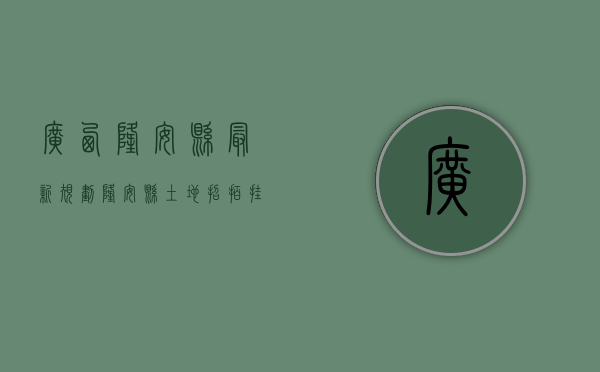 广西隆安县最新规划（隆安县土地招拍挂）