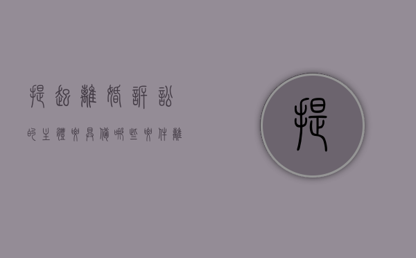 提起离婚诉讼的主体要具备哪些要件,离婚诉讼的程序怎么走（提出离婚诉讼的程序怎样进行?）