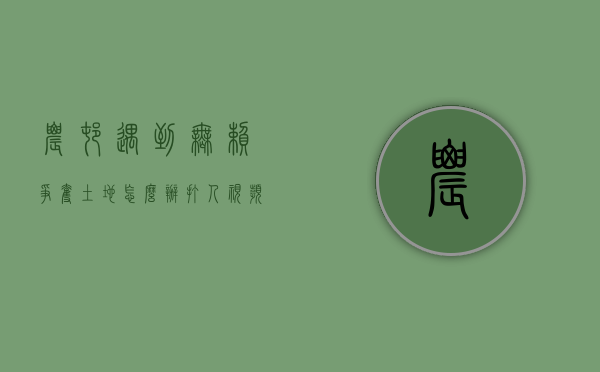 农村遇到无赖争夺土地怎么办打人视频（农村遇到无赖争夺土地怎么办打官司）
