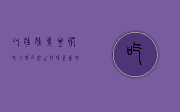 吃娃娃鱼会被判刑吗（吃野生娃娃鱼会判刑吗）