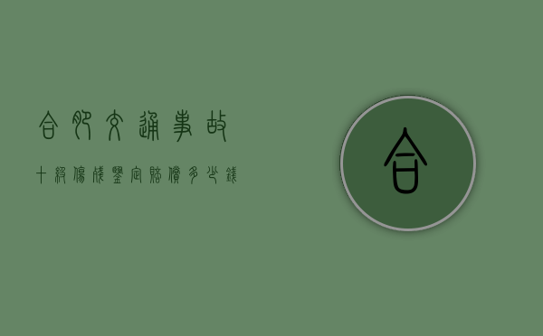 合肥交通事故十级伤残鉴定赔偿多少钱？（合肥十级伤残一共赔多少钱一个月啊）