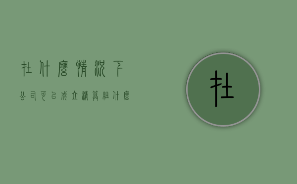 在什么情况下公司可以成立清算组？（什么情况下公司进行清算）