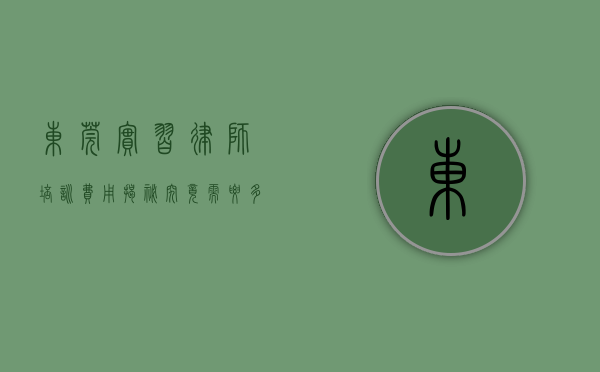 东莞实习律师培训费用揭秘，究竟需要多少？