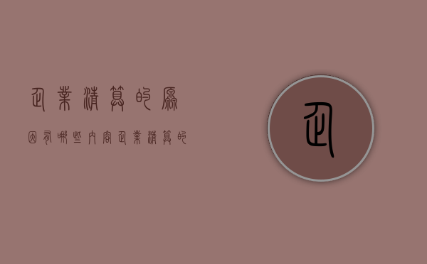 企业清算的原因有哪些内容（企业清算的原因主要有）