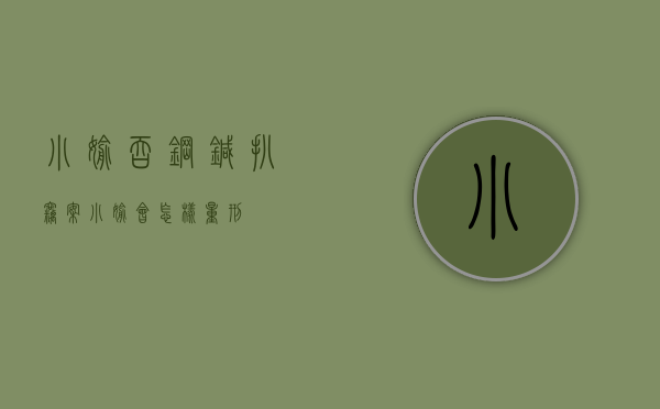 小偷吞钢针扒窃案（小偷会怎样量刑）
