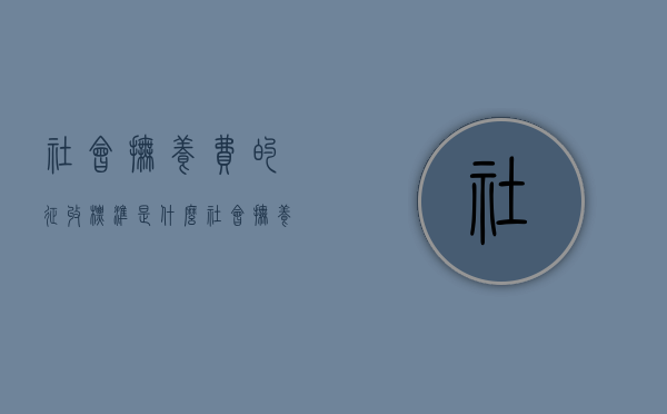 社会抚养费的征收标准是什么（社会抚养费具体的征收标准和管理办法）