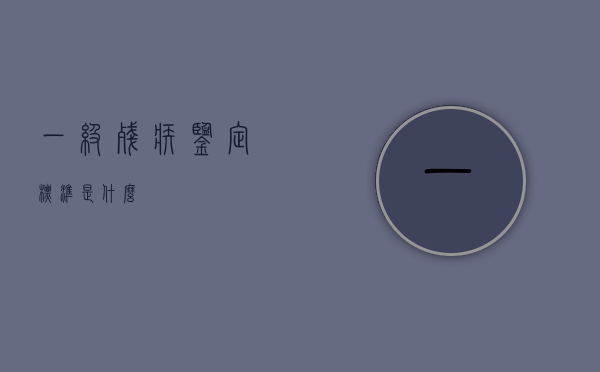 一级残疾鉴定标准是什么？