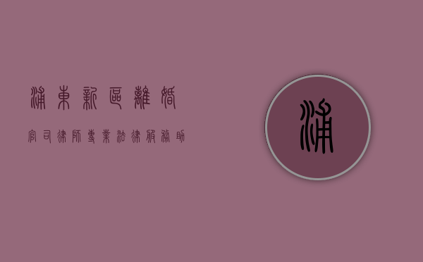 浦东新区离婚官司律师，专业法律服务助您顺利解决婚姻纠纷