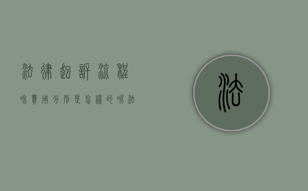 法律起诉流程和费用分别是怎样的呢（法律起诉流程和费用分别是怎样的程序）