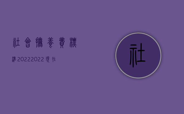 社会抚养费标准2022（2022现在抚养费的标准是多少）
