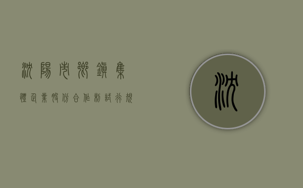 沈阳市乡镇集体企业股份合作制试行规定（沈阳厂办大集体改革办公室电话）