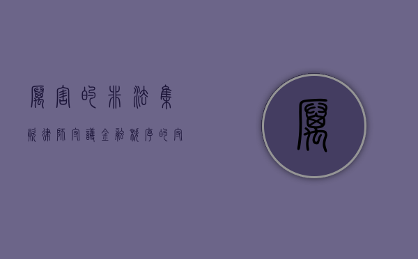 厉害的非法集资律师，守护金融秩序的守护者