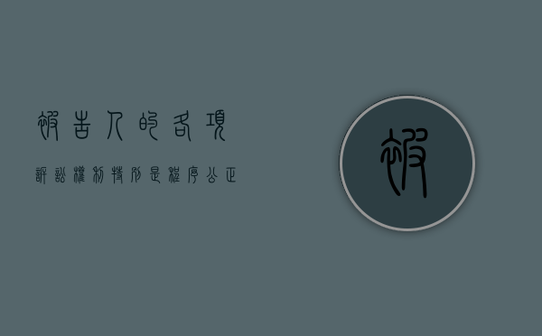 被告人的各项诉讼权利,特别是（程序公正与诉讼有何权利保障）