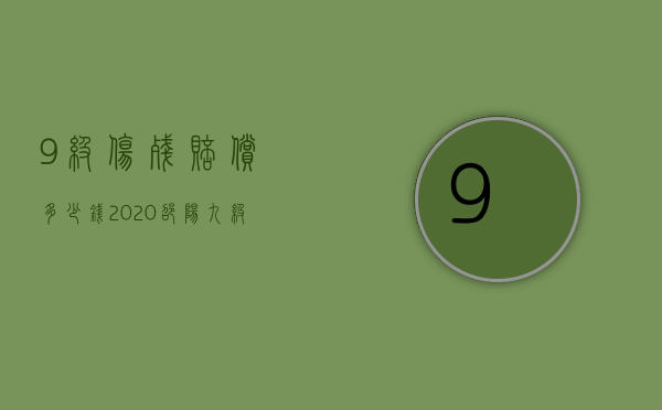 9级伤残赔偿多少钱2020（邵阳九级工伤能赔多少钱一个月）