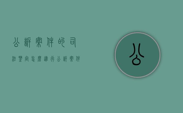 公诉案件的司法鉴定怎么进行（公诉案件的基本流程）