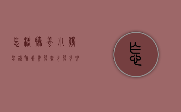 怎样抚养小鸡（怎样抚养费能尽可能多要点）