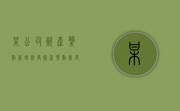 某公司资产盘点管理制度（资产盘点制度业务流程说明）