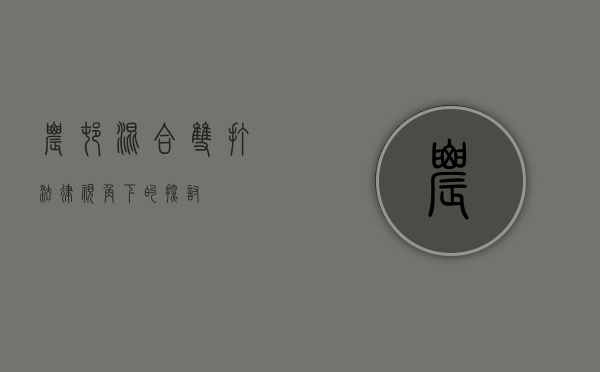 农村混合双打，法律视角下的探讨